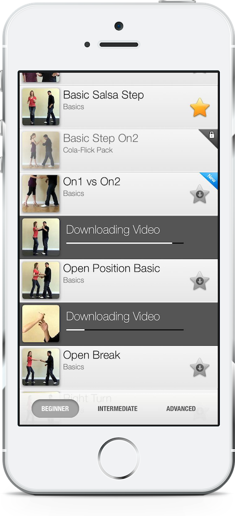 Pocket Salsa: library